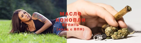 молекула духа Магадан