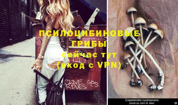 метамфетамин Магас