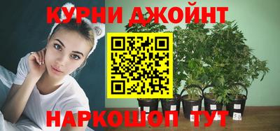 эйфоретик Аргун