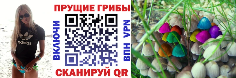 KRAKEN ТОР  Мелеуз  Галлюциногенные грибы ЛСД 