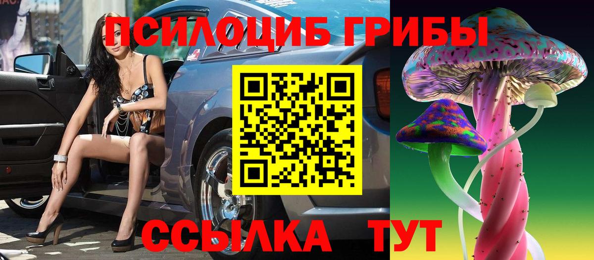 Псилоцибиновые грибы ЛСД Мелеуз