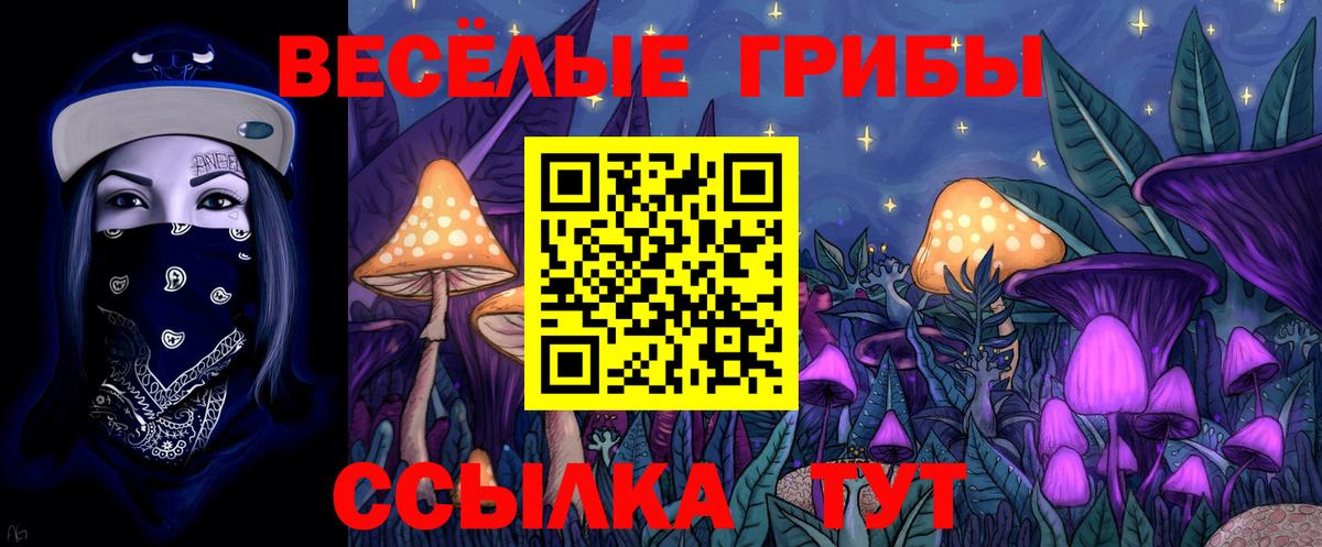 Галлюциногенные грибы ЛСД  наркота  Псилоцибиновые грибы Psilocybine cubensis  Мелеуз  Вход с VPN 